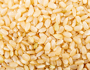 Image showing Brown rice