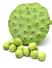 Image showing Freshness Lotus seed and pod