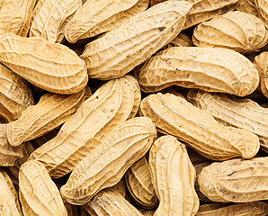 Image showing Peanut close up