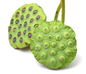 Image showing Bouquet of Lotus seed pod