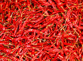 Image showing Dried chili pepper