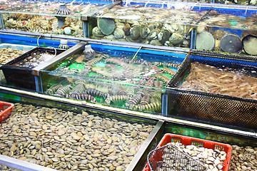 Image showing Seafood market fish tank in Hong Kong