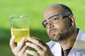 Image showing Scientific laboratory investigated liquid