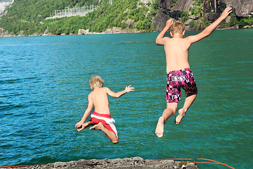 Image showing Jump into the Water