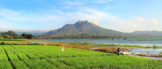 Image showing Balinese landscape