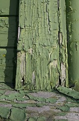 Image showing Cracked paint