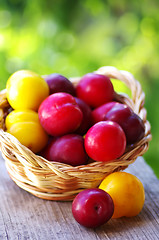 Image showing fresh plums in the basket on table