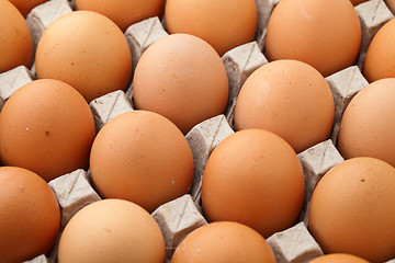 Image showing Farm egg in cardboard