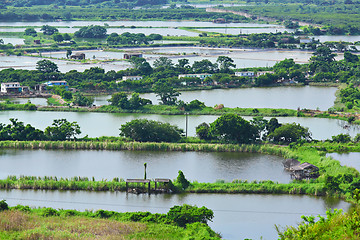 Image showing Fish hatchery pond