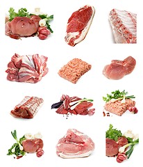 Image showing Collection of Raw Meat