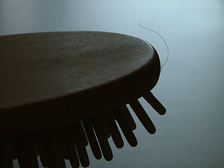 Image showing hairbrush