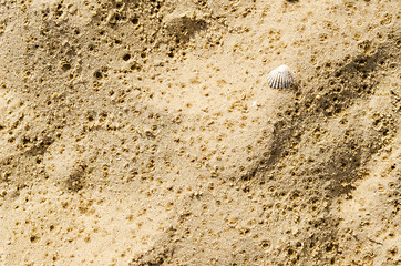 Image showing sand with wet drops after light rain