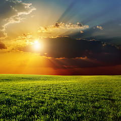 Image showing dramatic sunset over agricultural green field
