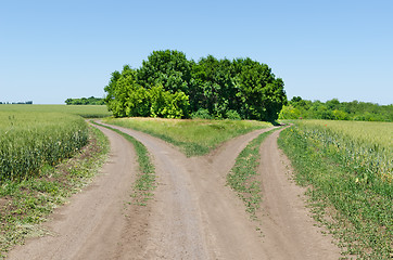 Image showing two rural road beetwen fields