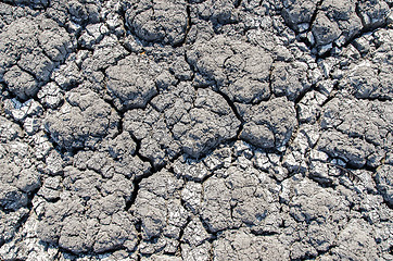 Image showing dry cracked earth as texture