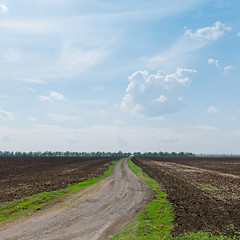 Image showing country road to horizon in cloudy sky