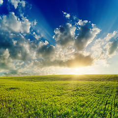 Image showing good sunset over green field