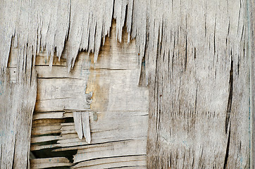 Image showing wood texture