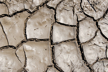 Image showing wet earth as texture