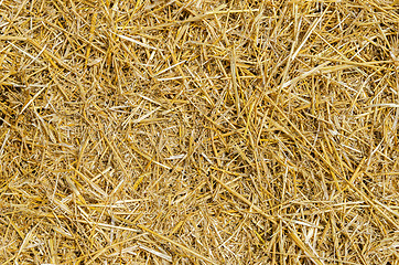 Image showing straw as textured background