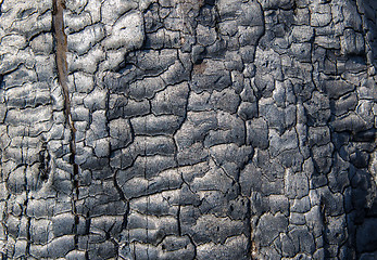 Image showing burnt wood texture