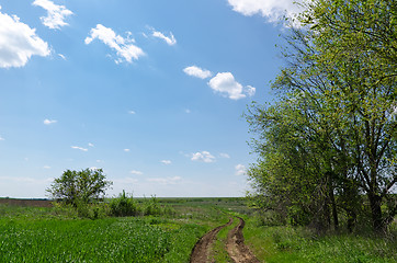 Image showing winding rural road to horizon under cloudy sky