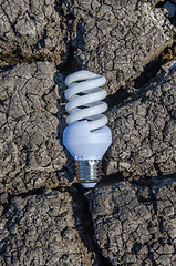 Image showing light bulb over drought land