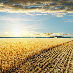 Image showing sunset over wheat field