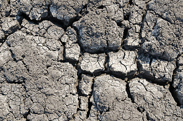 Image showing cracked land as textured background