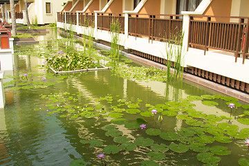 Image showing Grounds of the Hotel Amari in Koh Chang