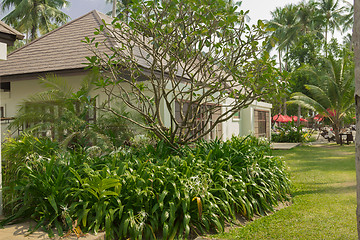 Image showing Bungalow on the coast of the island of Koh