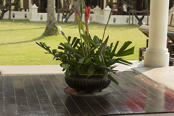 Image showing Grounds of the Hotel Amari in Koh Chang