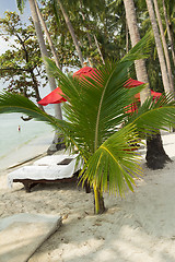 Image showing The beach at the hotel Fmari