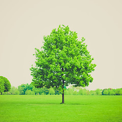 Image showing Vintage look Urban Park