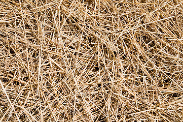 Image showing straw as good background