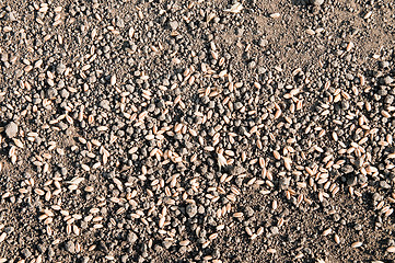 Image showing black textured earth with grain