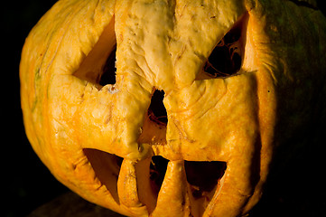 Image showing helloween pumpkin in evening