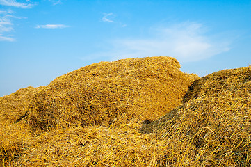 Image showing stack of straw on a background blue sky with clouds