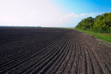 Image showing cultivated field after cultivation of land
