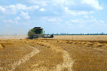 Image showing harvest time. south Ukraine