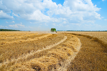 Image showing harvest time. south Ukraine