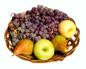 Image showing still life with a vine, apples and pears