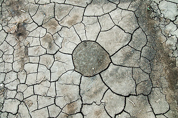 Image showing abstract background pattern of cracked dry soil