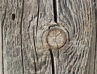 Image showing textured surface of board with a twig