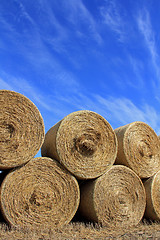 Image showing Round Hay Bales against Beautiful Sky