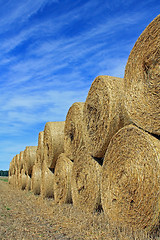 Image showing Straw Bales by Edge of Field