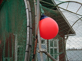 Image showing A salomon trap