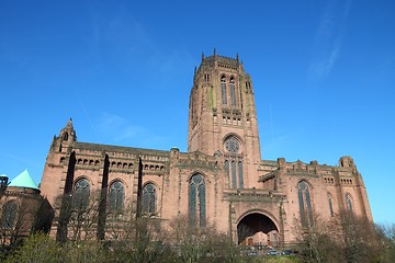 Image showing Cathedral in Liverpool