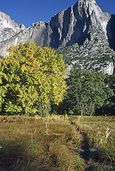 Image showing Yosemite