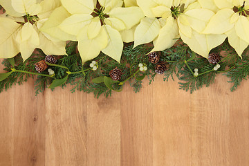 Image showing Poinsettia Flowers  